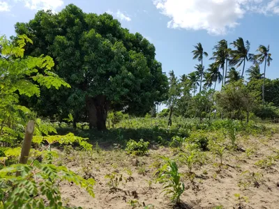 20160520_112234 (Large).jpg